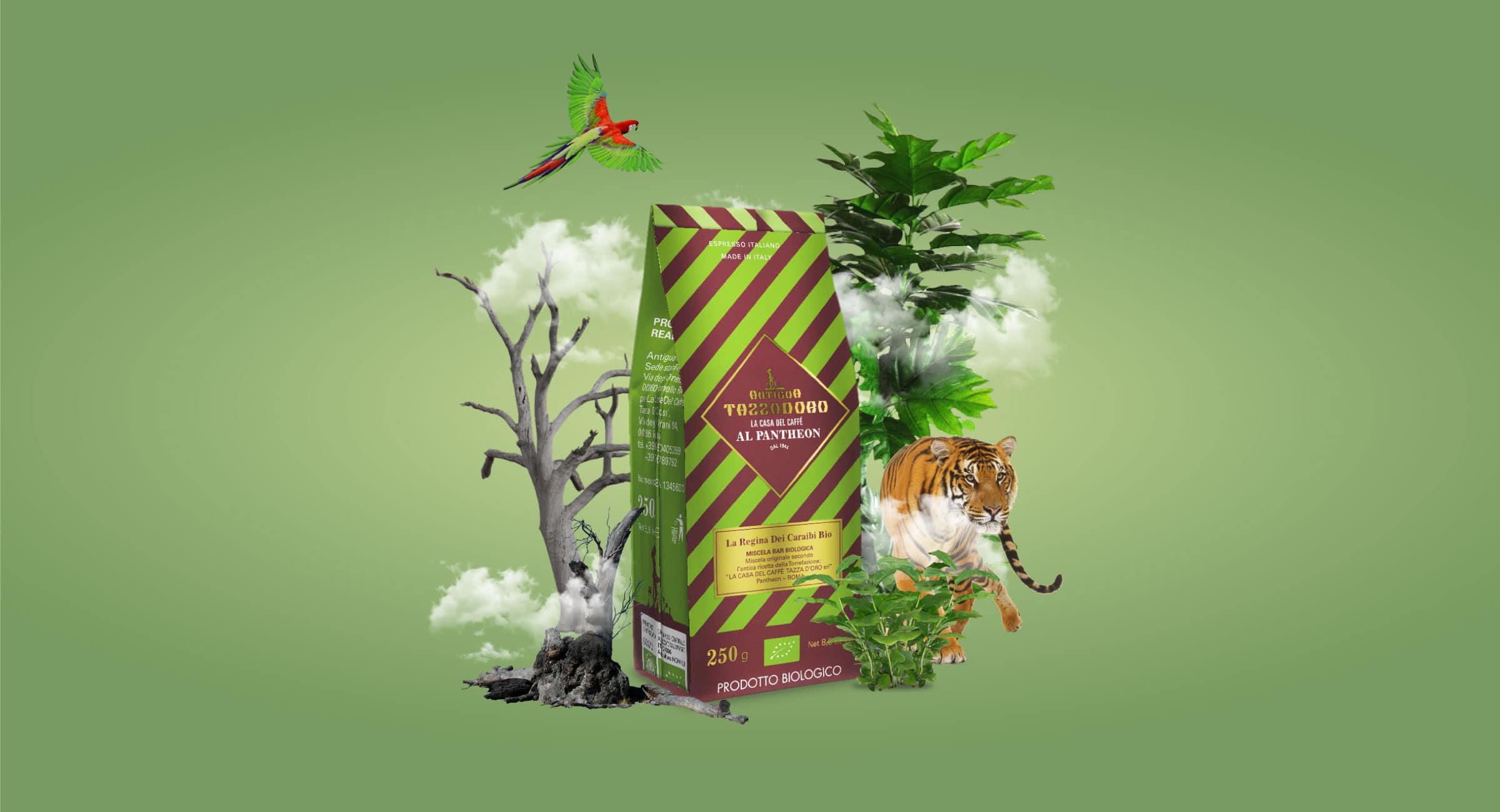 Composizione grafica di un pacchetto di caffè macinato con alberi, piante, una tigre, un pappagallo e nuvole.